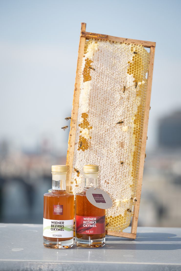 Odoo • Text und Bild