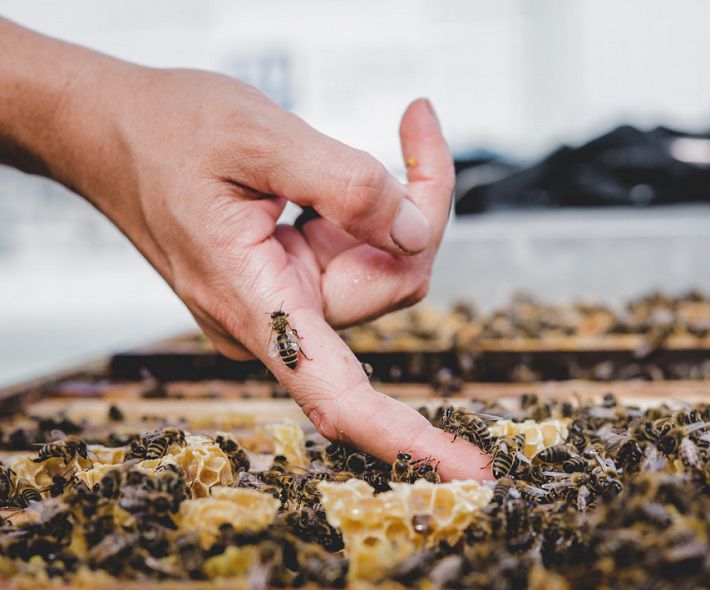 Odoo • Bild und Text